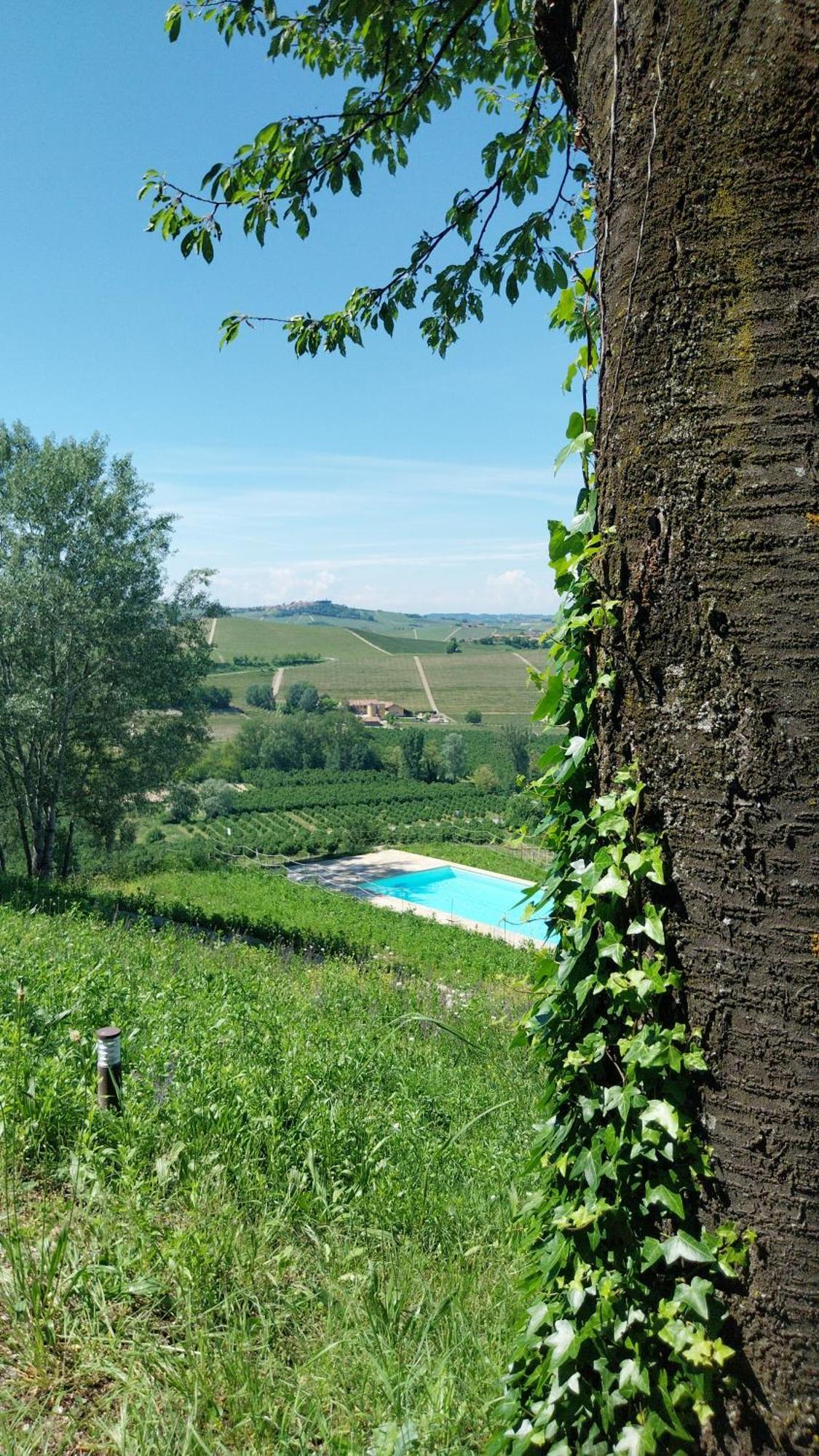 Tenuta Montanello B&B Кастільйоне-Фаллетто Екстер'єр фото
